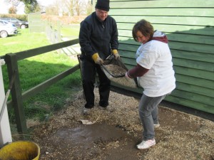 The Camerons' shingle-transportation system!